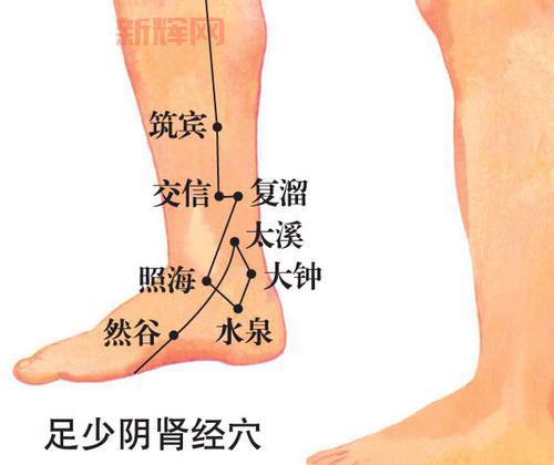 找太溪穴，内踝后方凹陷处,太溪穴位置图，帮你精准定位