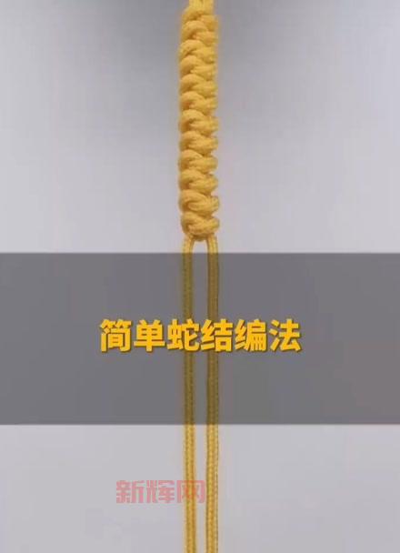 从新手到高手，蛇结编法图解全攻略，轻松掌握编织技巧！