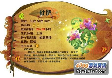 小花仙种植数量攻略：快速提升种植上限！