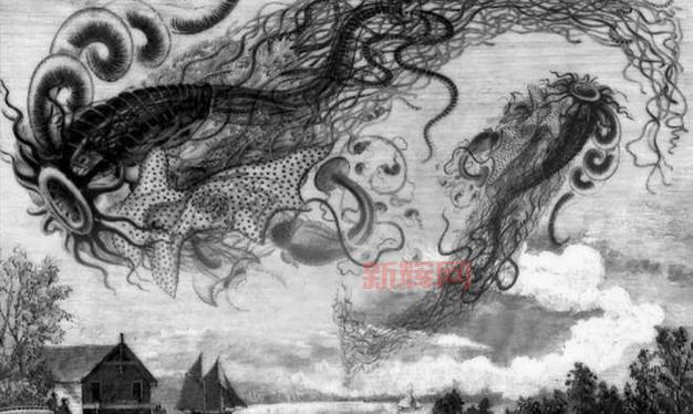 神奇怪物在哪里：探索神秘生物的奇幻之旅
