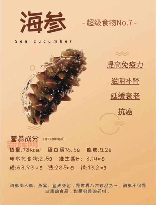 会夏眠的海洋生物：揭开海参的神秘面纱