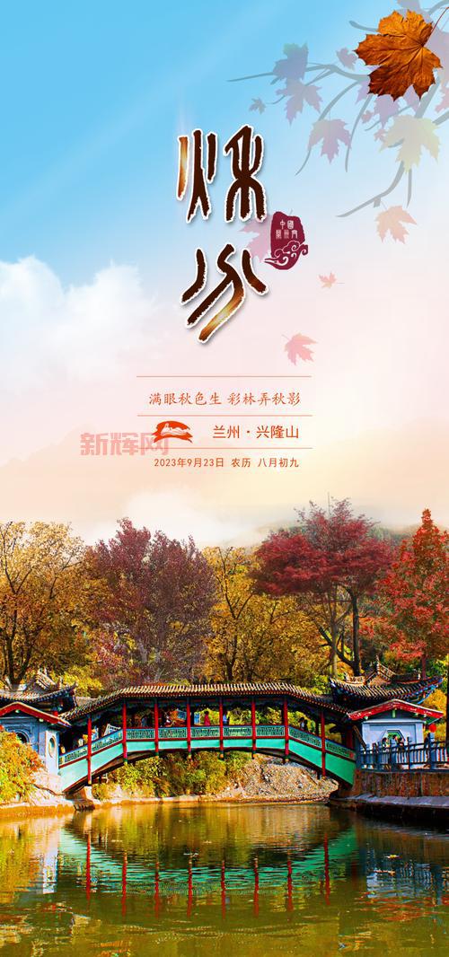 收获之夜：探索收获节的传统与电影中的精彩瞬间