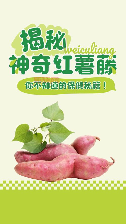 s23赛季结束时间大揭秘，你想知道的都在这里！
