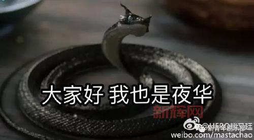 邪恶玄武技能搭配终极指南，平民玩家也能逆袭！