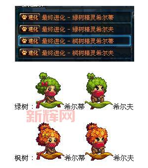 dnf宠物进化没任务了怎么办？教你轻松搞定宠物进化！