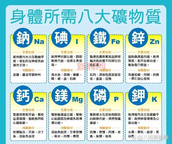 什么是矿物质？全面解析人体必需的营养元素