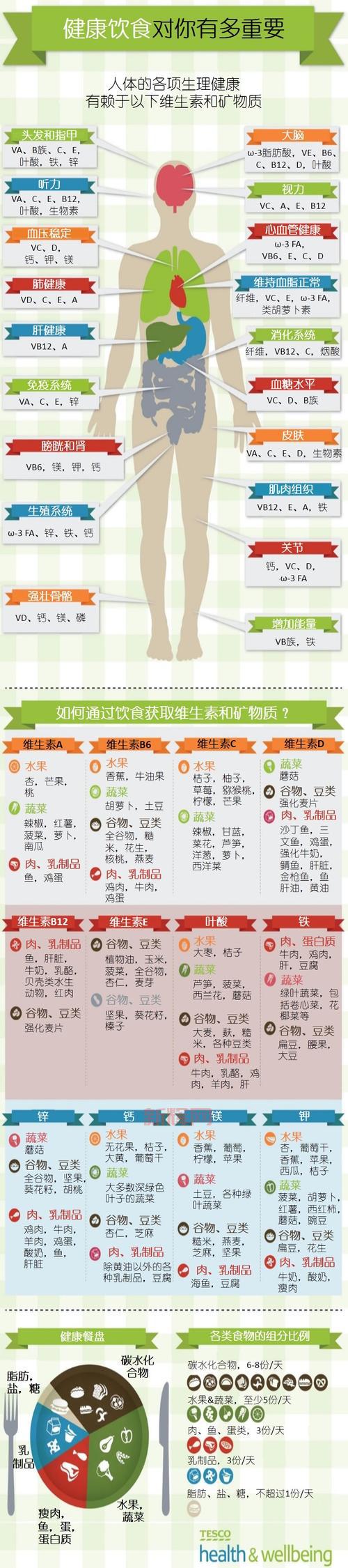 什么是矿物质？全面解析人体必需的营养元素