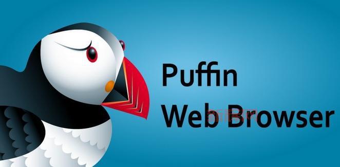 puffin浏览器官方网站，老司机都在用的极速浏览器，你确定不试试？