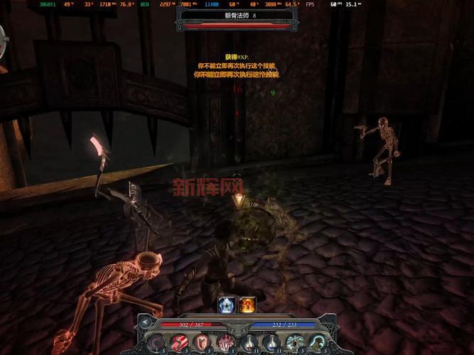 神界2攻略：角色属性加点与技能搭配详解