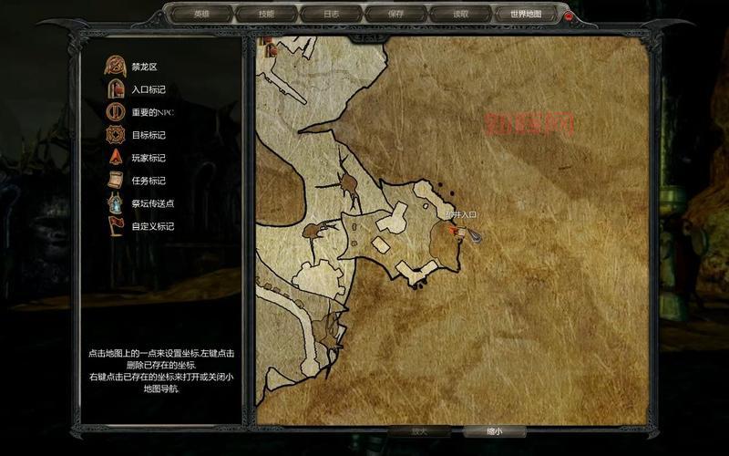 神界2攻略：角色属性加点与技能搭配详解