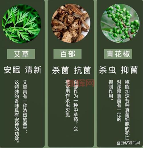 床上的螨虫：识别方法与健康隐患解析
