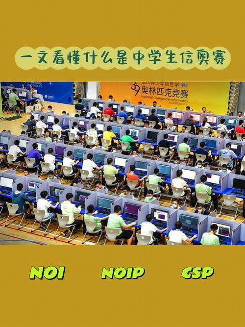信息学奥数：青少年计算机竞赛的崛起与发展