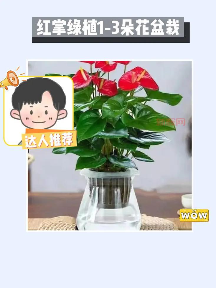 看门狗1中文设置方法详解，小白也能轻松搞定！