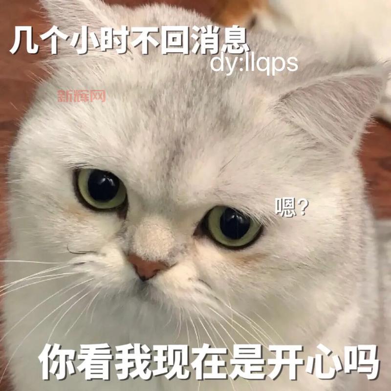 开心密室逃脱逃出鬼屋1详细攻略：每个关卡步骤详解包你过