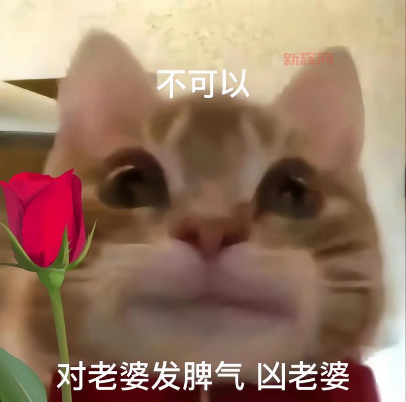 开心密室逃脱逃出鬼屋1详细攻略：每个关卡步骤详解包你过