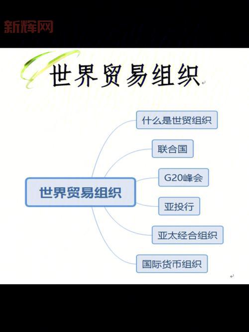 WTO什么意思？全面解析世界贸易组织的职能与影响
