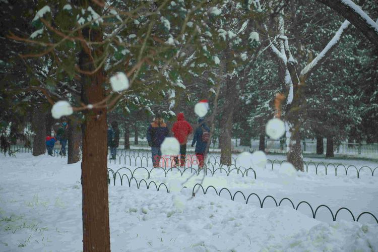 点卡回归可能性分析：暴雪最新动态及其影响