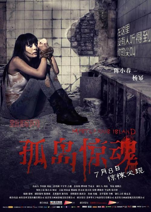 孤岛惊魂电影剧情揭秘：2011年悬疑力作大解析