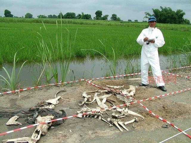 死亡后的腐败巨人观：尸体膨胀与腐败气体形成的真相