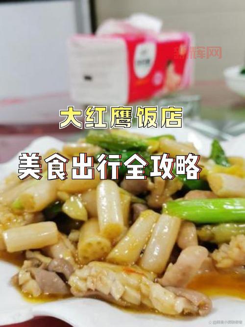 摩尔庄园浆果密道位置详解：如何进入并探索隐藏宝藏