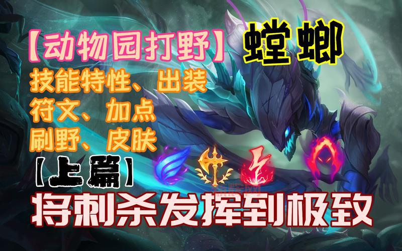 螳螂新版本出装思路分享，学会轻松上王者！