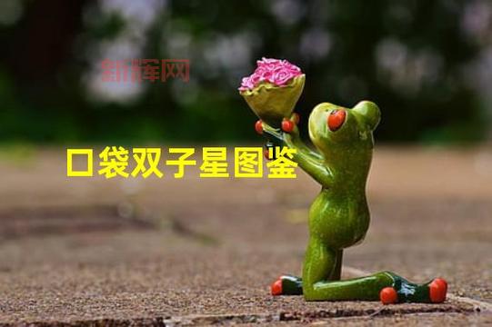 口袋双子星图鉴全攻略：精灵捕捉与进化指南
