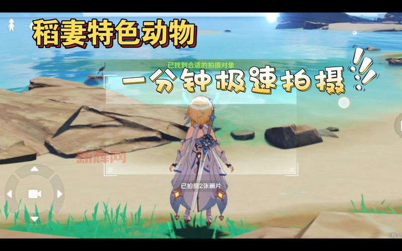 稻妻区域动物在哪里？教你准备四张以稻妻区域动物怎么拍轻松完成任务！