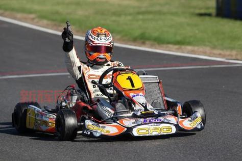 揭秘F1 2010职业模式玩法：体验全方位赛车竞技