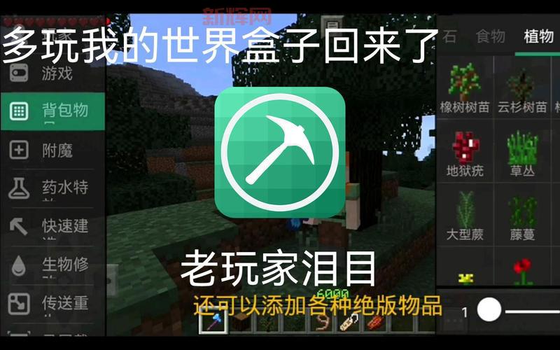 多玩我的世界盒子ipad版怎么下载？安装教程分享！