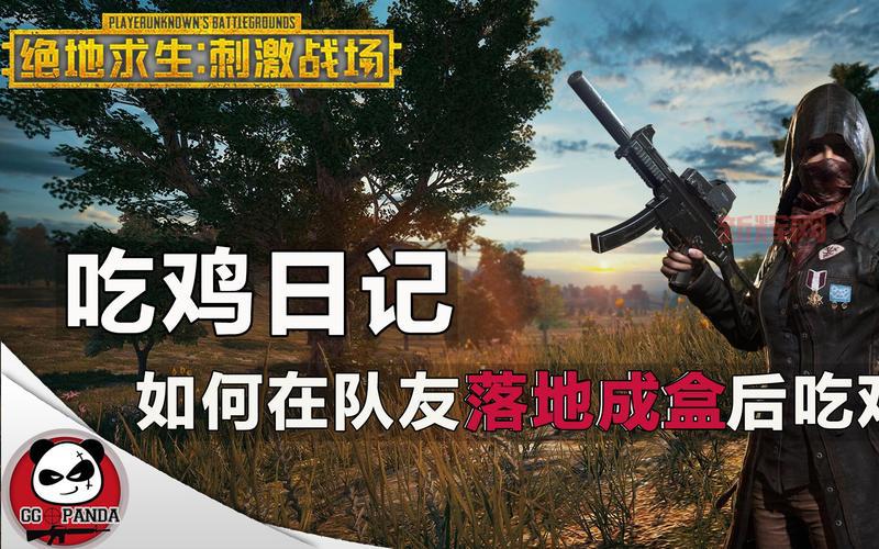 想玩绝地求生国服？下载安装步骤看这里！