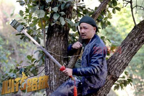 心花路放：宁浩执导公路喜剧，黄渤沈腾携手爆笑寻爱