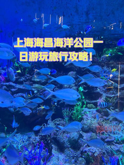 周末去哪玩？绚烂主题公园一日游攻略看这篇！