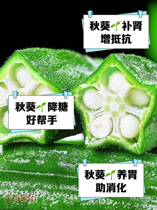榴莲秋葵向日葵丝瓜黄瓜蕾丝，营养价值大揭秘！