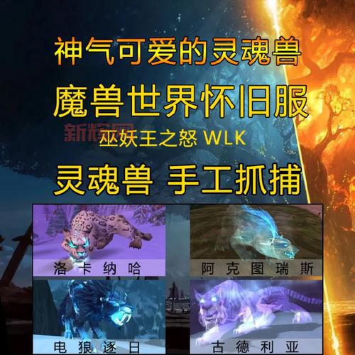 wow臭鼬在哪抓啊？老玩家分享最佳抓捕地点！