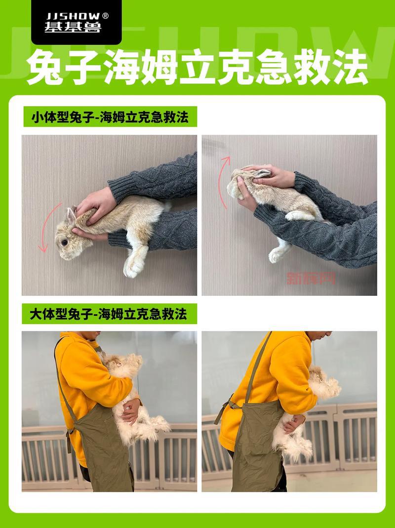 怎么让兔子飞？这几个脑洞大开的技巧学起来！