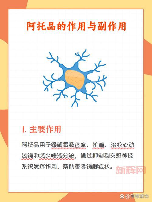 探索托尔托拉的力量有什么用？了解它能给你带来哪些好处。