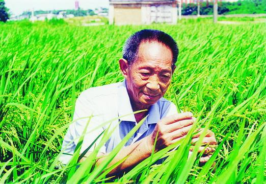 袁隆平辟谣具体内容是什么？这里有最全的辟谣信息汇总。