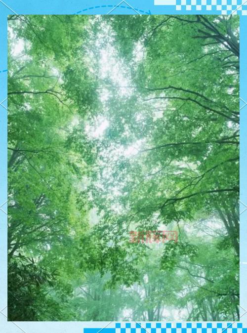 蔷薇法则揭秘：普通人也能逆袭的秘密！