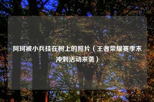 阿珂被小兵挂在树上的照片（王者荣耀赛季末冲刺活动来袭）