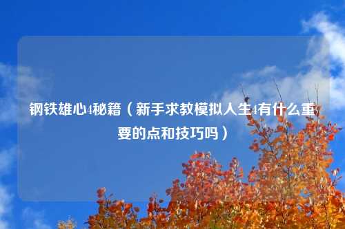 钢铁雄心4秘籍（新手求教模拟人生4有什么重要的点和技巧吗）
