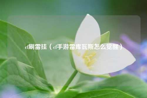 cf刷雷挂（cf手游雷库瓦斯怎么觉醒）