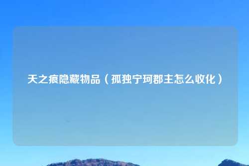 天之痕隐藏物品（孤独宁珂郡主怎么收化）