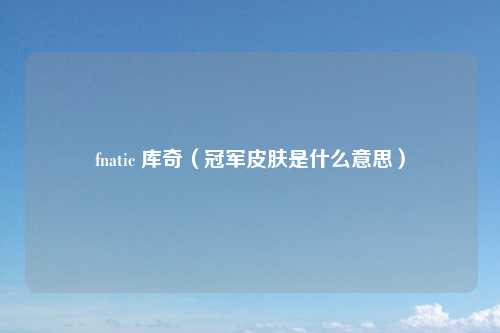 fnatic 库奇（冠军皮肤是什么意思）