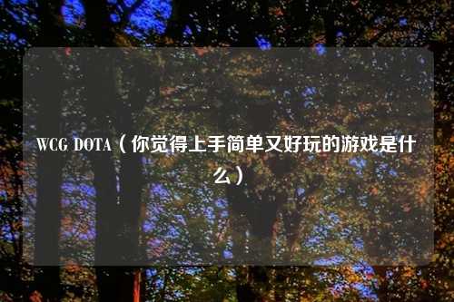 WCG DOTA（你觉得上手简单又好玩的游戏是什么）
