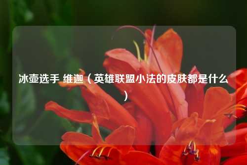 冰壶选手 维迦（英雄联盟小法的皮肤都是什么）