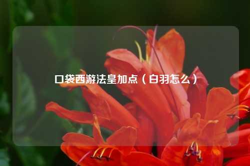口袋西游法皇加点（白羽怎么）