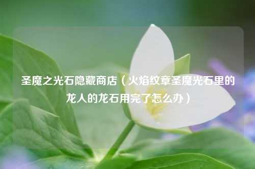 圣魔之光石隐藏商店（火焰纹章圣魔光石里的龙人的龙石用完了怎么办）