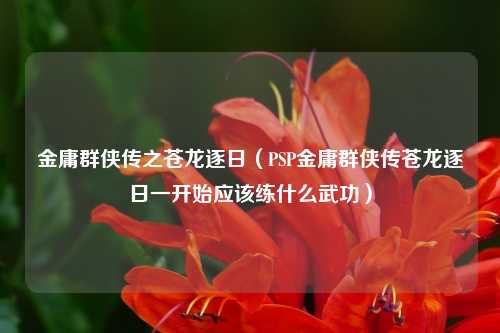 金庸群侠传之苍龙逐日（PSP金庸群侠传苍龙逐日一开始应该练什么武功）