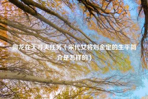 御龙在天寻夫任务（宋代女将刘金定的生平简介是怎样的）