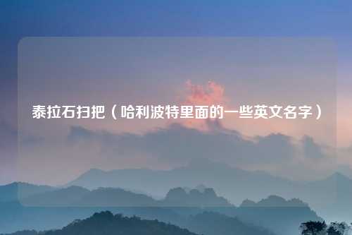 泰拉石扫把（哈利波特里面的一些英文名字）